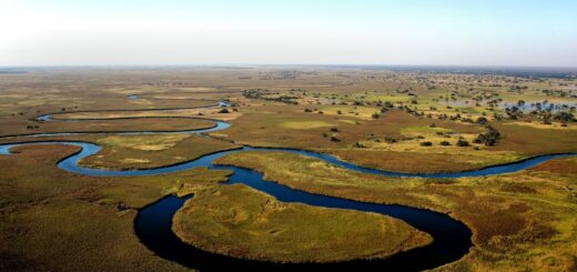 How to stay safe in Botswana How to stay safe in Botswana
