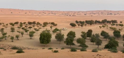 Do I need a visa for NIGER?