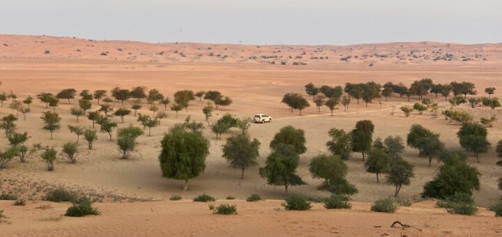 Do I need a visa for NIGER?