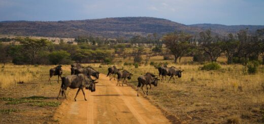 How to Stay Safe in South Sudan