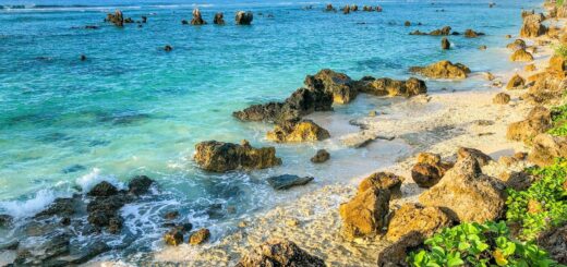 Do I need a visa for NAURU? Do I need a visa for NAURU?