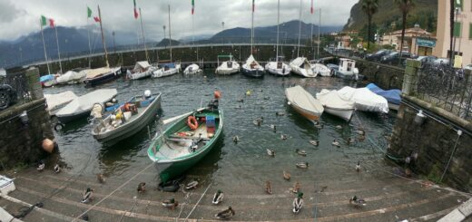 How to Stay Safe in Comoros