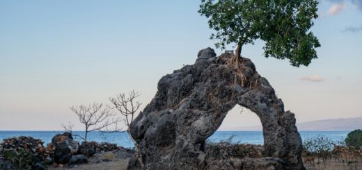 Do I need a visa for TIMOR-LESTE (EAST TIMOR)?