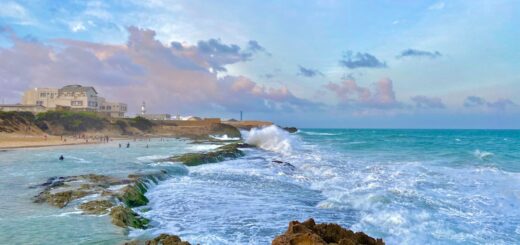 Do I need a visa for SOMALIA?