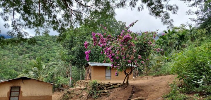 How to Stay Safe in Central African Republic (CAR)