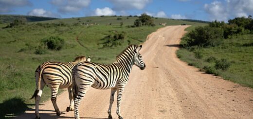 Do I need a visa for SOUTH SUDAN?