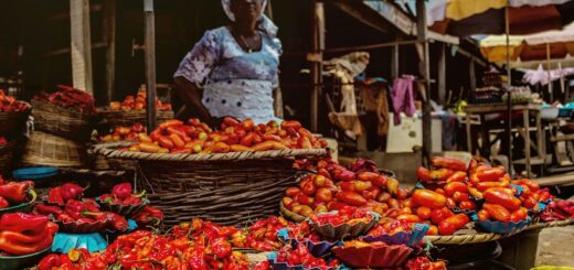 Do I need a visa for NIGERIA?