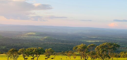 How to stay safe in Burundi How to stay safe in Burundi