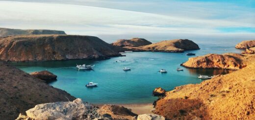 Do I need a visa for OMAN? Do I need a visa for OMAN?