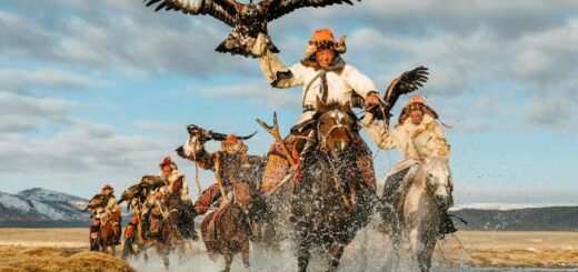 How to Stay Safe in Mongolia