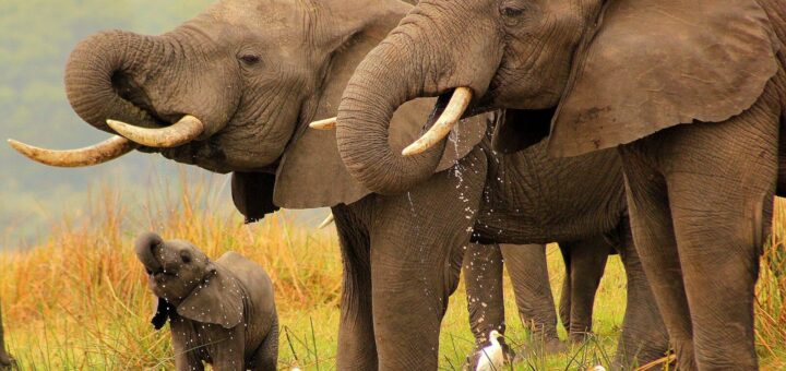 How to Stay Safe in Malawi