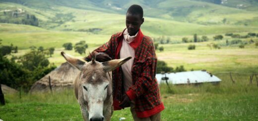How to Stay Safe in Lesotho