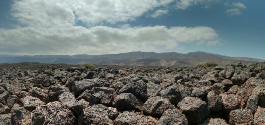How to Stay Safe in Djibouti