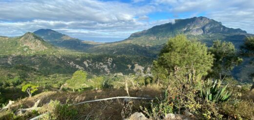 How to Stay Safe in Timor-Leste (East Timor) How to Stay Safe in Timor-Leste (East Timor)