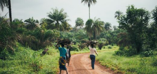 How to Stay Safe in Sierra Leone How to Stay Safe in Sierra Leone