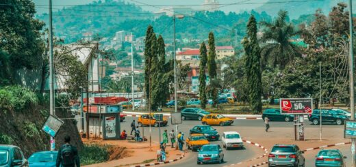 How to Stay Safe in Cameroon