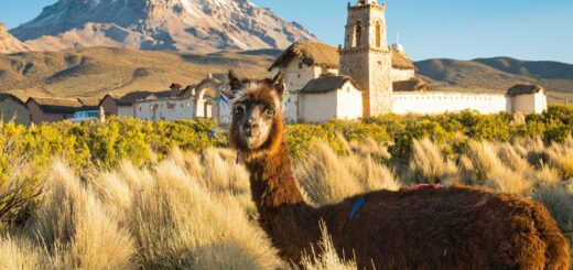 Do I Need a Visa for Bolivia?